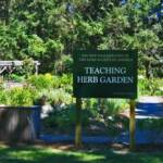Teaching Herb Garden